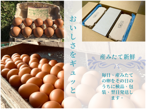 ☆＊【安納芋の甘みがギュッ‼️】＊☆
っと詰まった夢まる自然卵(10個入り3箱)