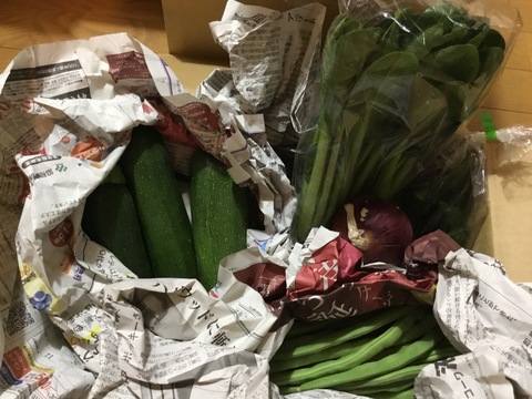 中玉トマトたっぷり🍅【夏ギフト】自然栽培の手渡したくなるお任せ野菜SET（Mサイズ）