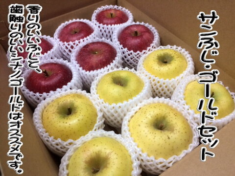 シャキパリ　甘酸バランス最高　シナノゴールド　３キロ
