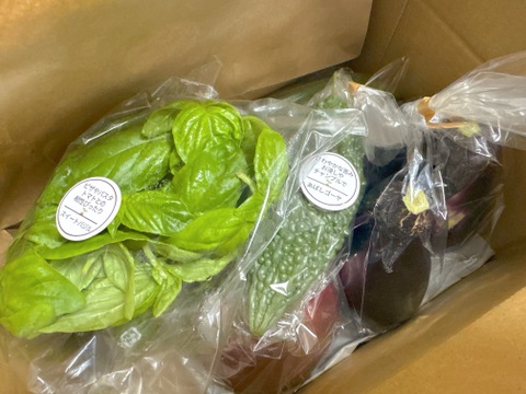 Sサイズ【栽培期間中農薬不使用】季節のお野菜詰め合わせ[5〜6品目］