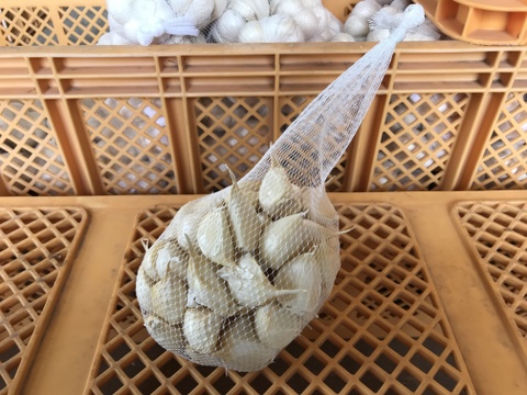 【皮むけなし】青森県産ホワイト六片種にんにく バラ 1kg(500g×2箱)【高糖度】
