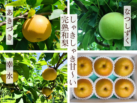 ＜セール＞【樹上完熟梨】『なつしずく』爽やかな香と味　２㎏以上