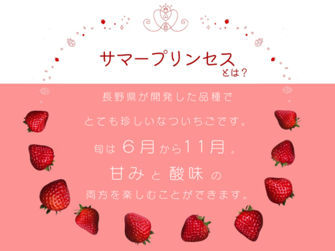 子どもが喜ぶ夏イチゴ☆ジューシーな中粒大粒☆ (2025年 夏秋お届け)