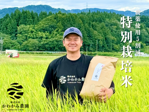 【令和7年産新米】新潟県産コシヒカリ精米5kg