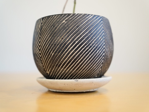 ミニ盆栽【ヤマモミジ×白黒縞陶器】高さ32cm×横18cm