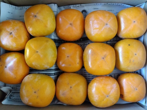 常温便　和歌山県橋本市産　ご家庭用たねなし柿（約5キロ箱込み）