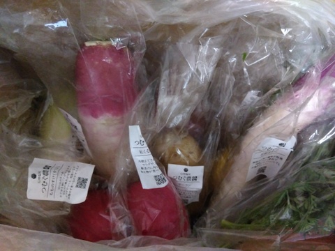 Mサイズ｜信州産｜モリモリ！冬野菜の玉手箱