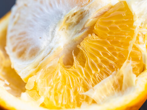 【農薬・除草剤不使用栽培】紅甘夏 Bセレクション5kgBOX