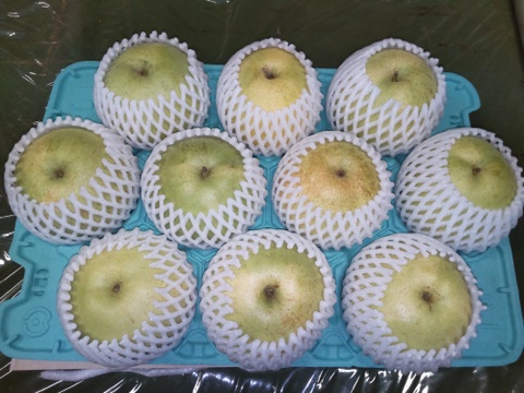 5Lサイズ】かおり 5kg (10玉入)贈答用も◎：千葉県産のかおり｜食べ