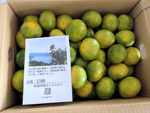 【10月1日より順次発送】【長崎県産】極早生みかん5ｋｇ