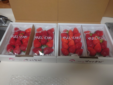 果汁たっぷり❗やよいひめ『群馬いちご』320g×4トレー（2箱）