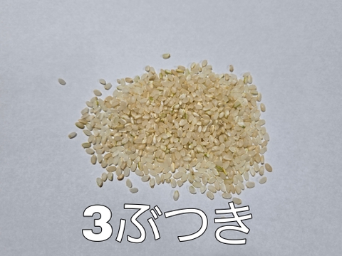 令和6年産 特別栽培米 ササニシキ「うみ幸やま幸」5kg 精米(玄米、3・5・7ぶつき) みえの安心食材認定