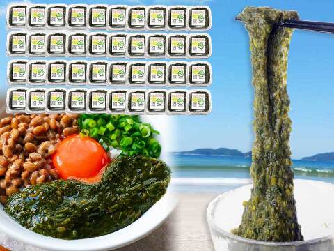 【冬のお助けメニューに♪】宗像のあかもく４０個 レシピ付き 海藻 魚介類