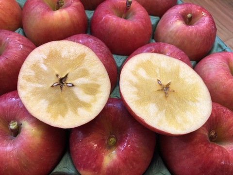 【蜜入り！】こうとく 約5kg(20～23個)