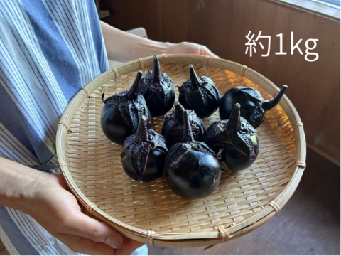 奥出雲産自然栽培自農丸なす(1kg)