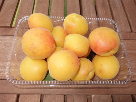 旬を堪能、あまいあんずとや硬めの信州限定の甘みの強いネクタリン。
あんずのおひさまコットと、ネクタリンのサマークリスタルのセット
（約2.5ｋg）のきれいな箱入りでのお届け。