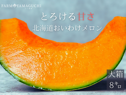 ギフト専門農家から！【北海道メロン】　大箱　８キロ