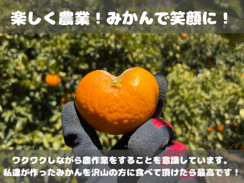 弾ける果汁！ 濃厚！ 有田みかん 3kg 和歌山産