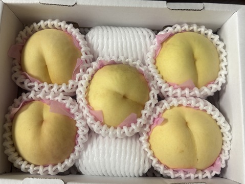 🍑おかやまの白桃 小箱【4〜8個】【ご自宅用】：岡山県産の白桃｜食べ
