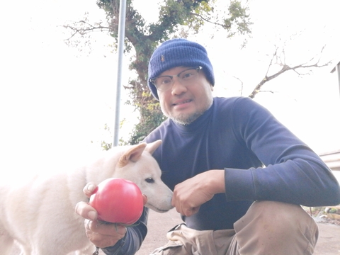 【アワード福袋】栄ちゃんファームの福袋。
人気の栄ちゃんトマトとプチトマト（アイコ）が入った
トマト尽くしのセットに季節の葉物野菜のおまけ付き！