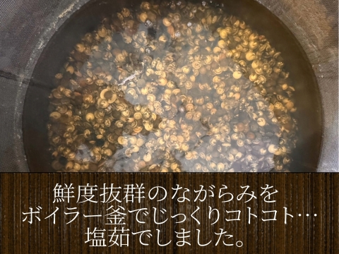 新物幻の貝！ 釜茹でながらみ1k【大サイズ】(ダンベイキサゴ)