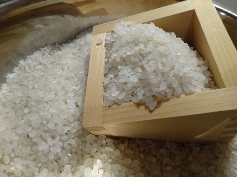 【数量限定】はせ掛け自然乾燥米(５㎏)