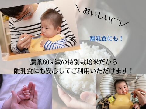 【令和4年産特別栽培米】十代目松治 滋賀県産夢つくし「縁起の竜王米」 白米5kg