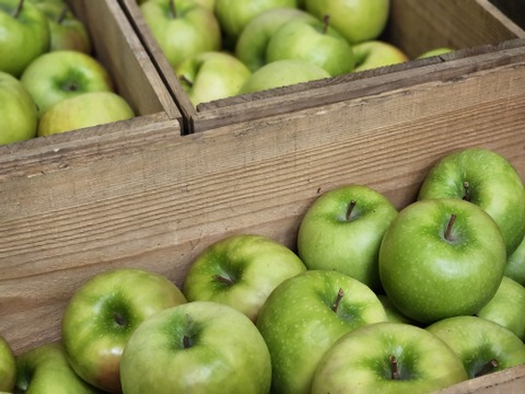 ＼(^-^)／２万本突破いたしました＼(^-^)／
完全無添加✨完熟りんご３品種ブレンド 「百年の想い 」1リットル 3本