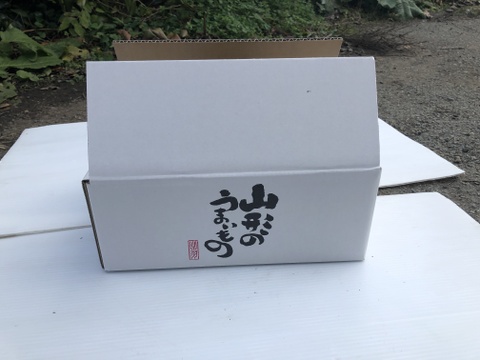 農薬節減!! こだわりラフランス 山形県 3kg×2箱 8〜11玉 ギフトにも 11月上旬〜【冬ギフト】