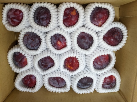 すもも100gサイズ