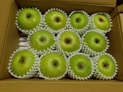 イギリス生まれの加工用りんご！！ブラムリー🍏　2.5kg～3kg