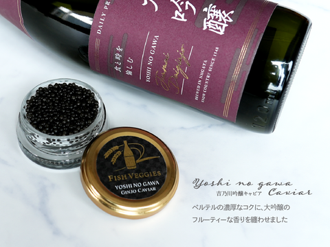 【国産フレッシュキャビア】FISH VEGGIES 吉乃川吟醸キャビア 15g シェルスプーン・化粧箱付き