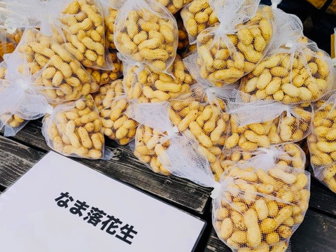 【十勝育ち】生落花生🥜茹でてホクホク甘味たっぷり 5kg(500g×10)セット
