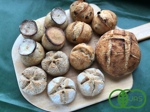 【超貴重な有機JAS認証パン】パンセット⑭：麦の栽培から一貫生産　自然栽培小麦のみ使用したハード系パンセット