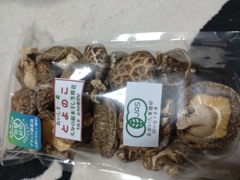 干ししいたけとよのこ（戻しいらず　大分産の肉厚どんこ　１００ｇ入り1袋　 ビタミンDが豊富）