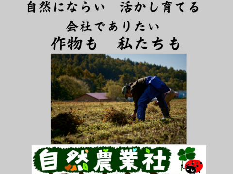 使いやすい「1kg梱包」　風味豊かな農薬不使用の有機黒豆18kg　 北海道の大地で育った「いわいくろ」　１２月１８日ころより発送予定