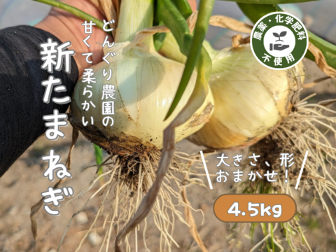 【農薬不使用】甘くて柔らかい新玉ねぎ（4.5kg）