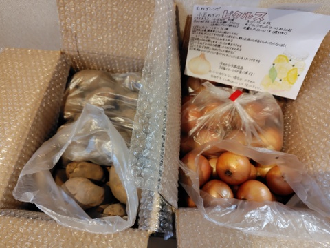 諸物価高騰応援価格‼️甘さと食感が…タマネギSサイズ5kg¥575円❗️北海道　直播玉ねぎ