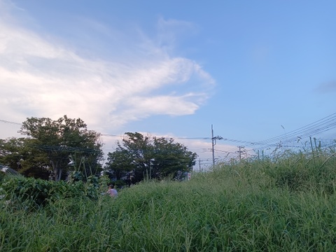 子供に食べさせたい❗❗【旬の長ネギ❗❗】ばぁばのモノスゴイ野菜🥬約4㎏✨✨✨