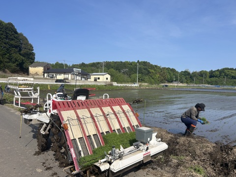 令和7年新米】茨城県ひたちなか市産 ふくまる 精米 20キロ 10kg