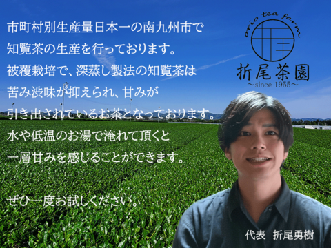 【福袋】知覧茶満喫セット