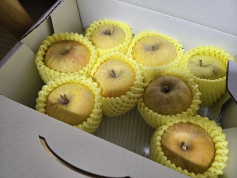 まるせい果樹園のりんご　はるか　2ｋ　贈答用　自家用　家庭用　rh3