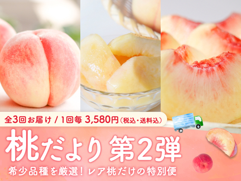 【売り切れ】【限定200セット】3種の桃だより第2弾（食べチョク公式）
