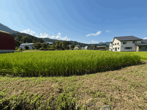 新潟県　南魚沼産コシヒカリ精米10kg[令和7年産]自家製ぼかし肥料栽培米　八海山の里で実りました。