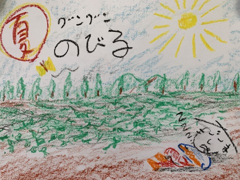 甘くて美味しい安納芋・種子島産・有機農業・食べ応え抜群！中サイズ・箱込み2kg