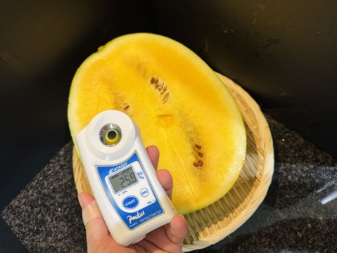 【雅】糖度13-17以上【金色羅皇】『大里果樹園のスイカ』4Ｌ-5Ｌ