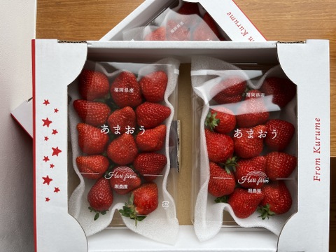 福岡県産あまおう1kg｜大粒・濃い甘み／ご家庭用・贈り物にも（エコ農産物認証）