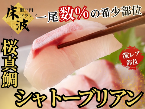 【一尾数％の希少性】春の究極希少風物詩🌸天然国産『桜真鯛シャトーブリアン』長州床波ブランド約150g【3月上下旬予約】