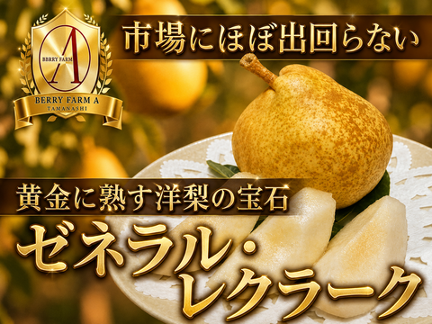 【市場に滅多に出回らない】銀座千疋屋元チーフパティシエ監修【果匠ブランド洋ナシ】黄金に熟す洋梨の宝石🍐ゼネラル・レクラーク🍐約1.5kg【秋ギフト】【2026年10月下旬予約】