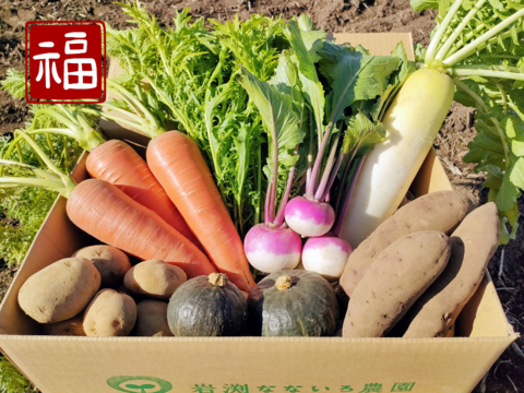 【福袋】☆鍋にもぴったり。新鮮野菜を信州の高原よりお届け！旬の野菜セット７種（レギュラー）